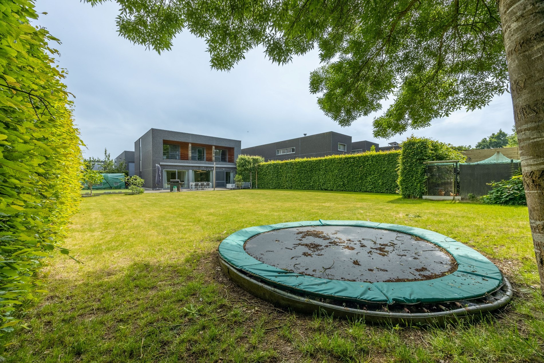 Tuin