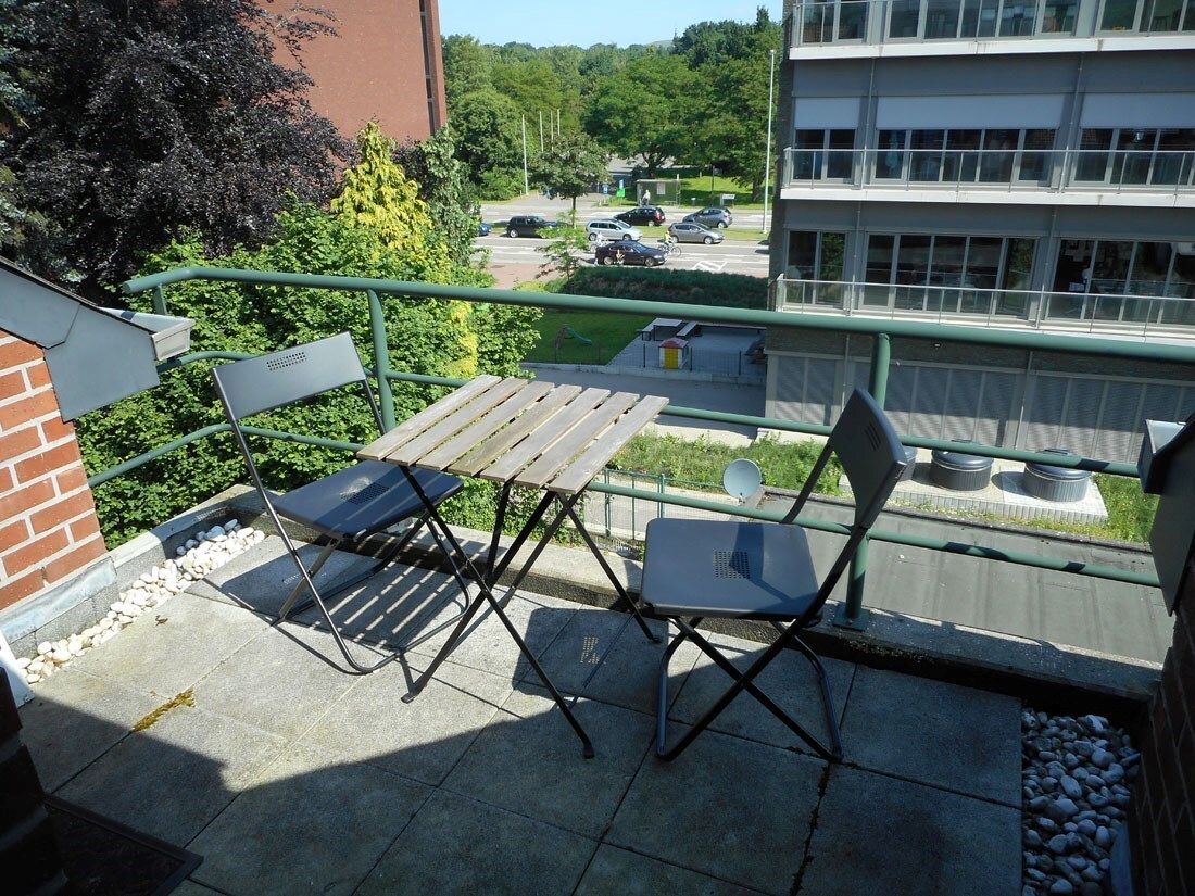 Terras