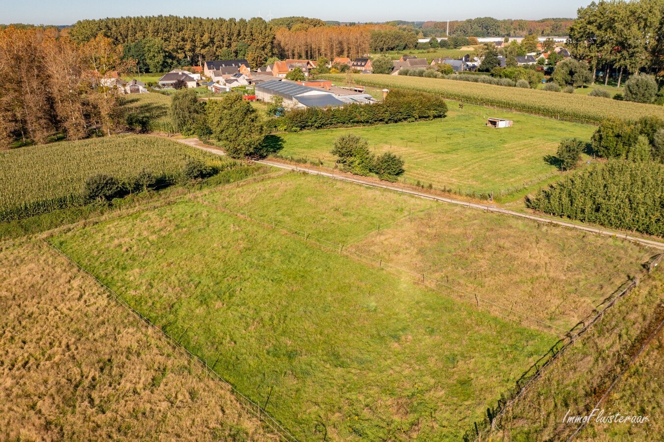 Paardenaccommodatie met binnenpiste op ca. 6ha te Wellen 