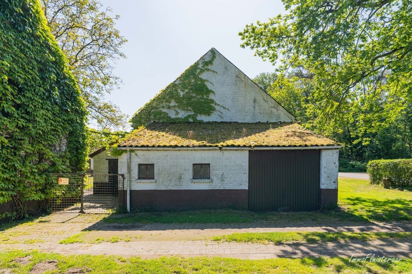 Hoeve op een uitzonderlijke locatie op ca. 5ha te Ham 