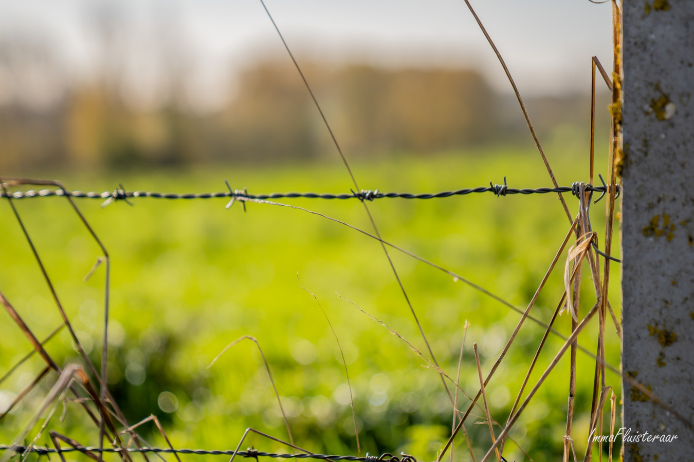 Grond/weide op ca. 2,6 ha te Galmaarden (Vlaams-Brabant) 