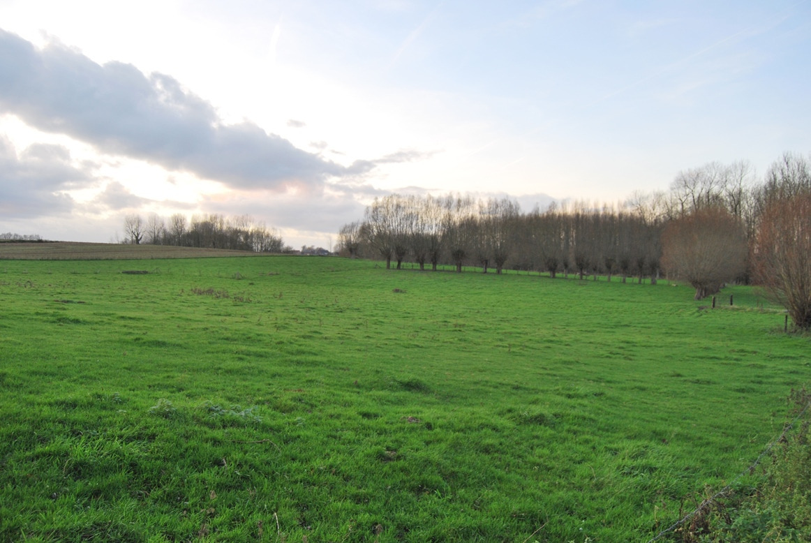 Te renoveren hoeve op ca. 1,4 ha op prachtige locatie te Geraardsbergen 