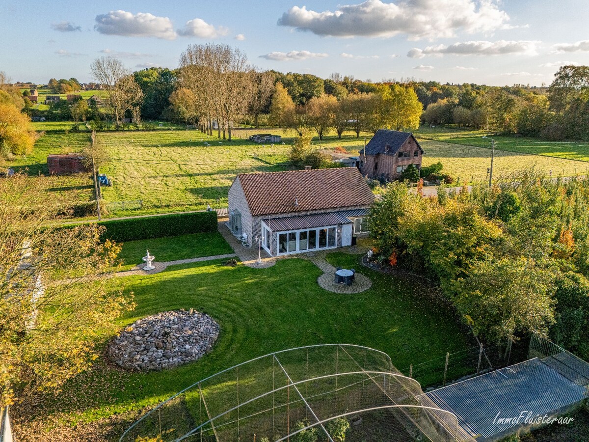 Charmante woning op een ruim perceel van ca. 78 are te Loksbergen (Halen) 