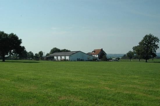 Splendide propri&#233;t&#233; avec piste couverte et boxes sur environ 1,3ha 