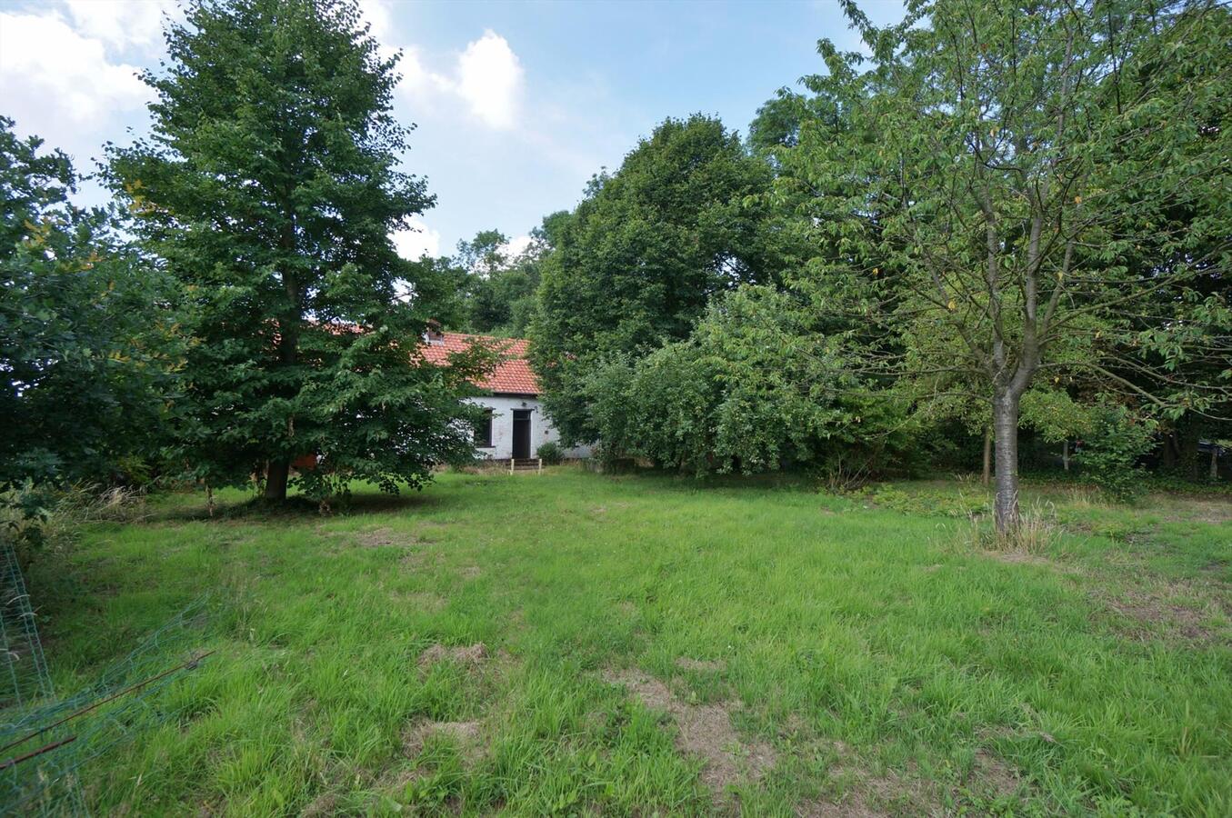 Farm sold in Diest