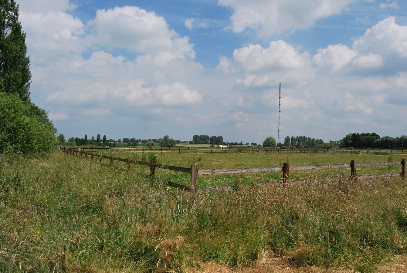 Abdijhoeve op ca. 7ha te Alveringem, Stavele 