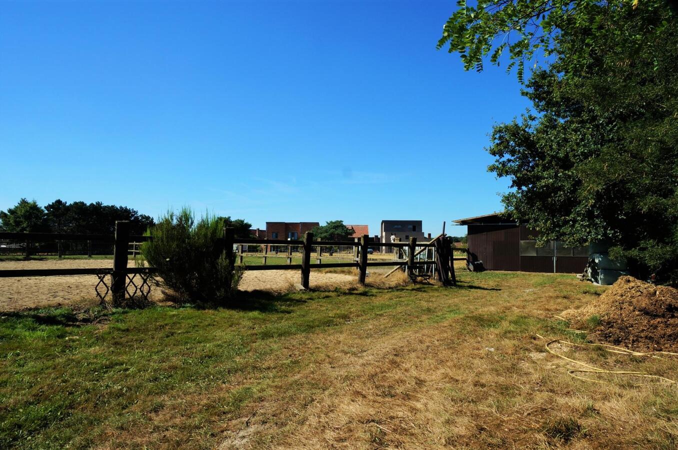 Recente woning op magnifieke locatie met 3 paardenstallen, buitenpiste en weides op ca. 96are te Opoeteren 