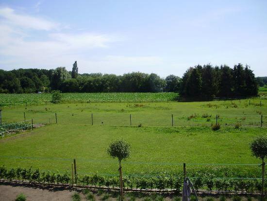 Farm sold in Onze-Lieve-Vrouw-Waver