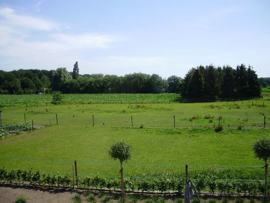 Schitterende eigendom op ca. 2 ha in rustige omgeving 