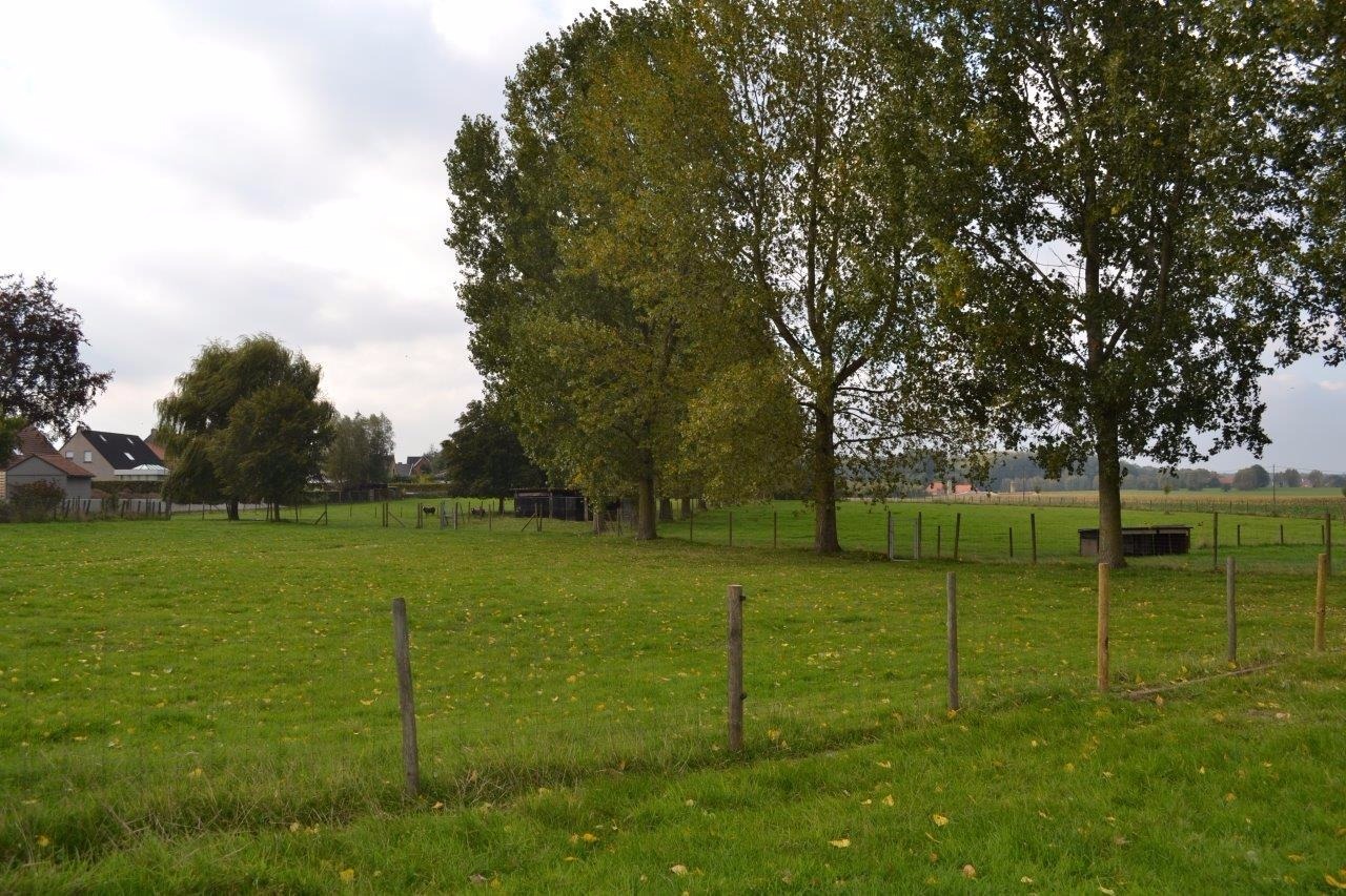 Leuke &#233;&#233;ngezinswoning op ca. 2,32ha te Geluveld (Zonnebeke) 