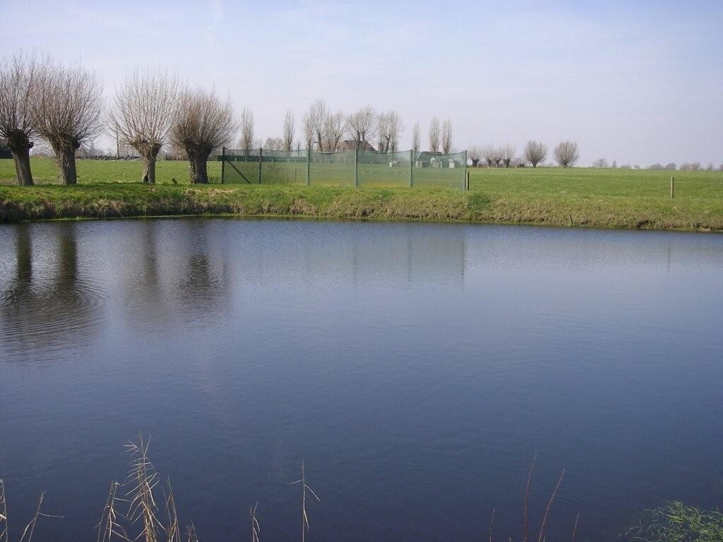 Ruim landhuis met hangaar en magazijn op ca. 2,6 Ha te Kortemark 