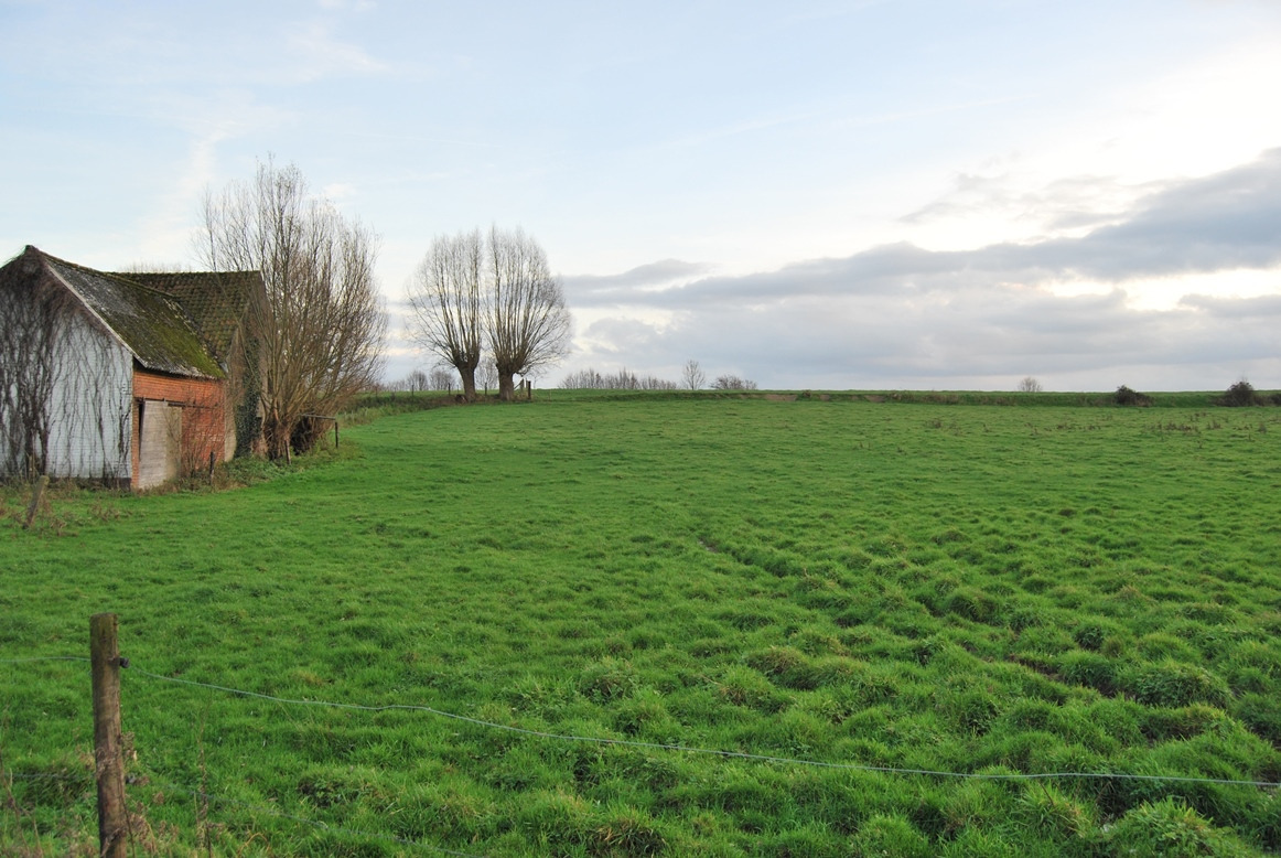 Te renoveren hoeve op ca. 1,4 ha op prachtige locatie te Geraardsbergen 