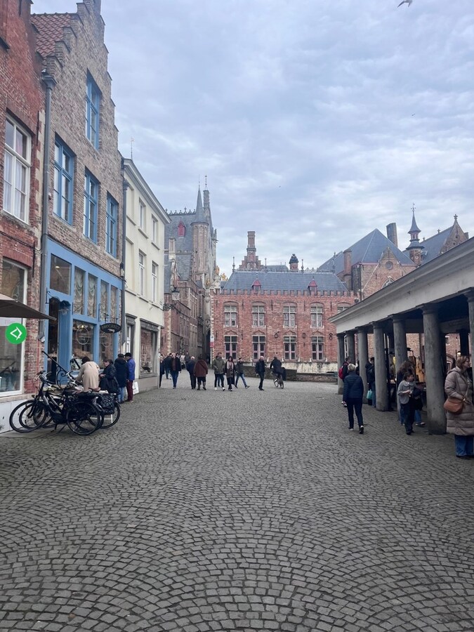 Tussen Astridpark en Vismarkt gelegen burgershuis met zonneterras, 4 slpk&#39;s, 3 bdk&#39;s 