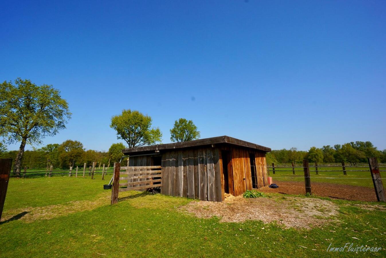 Instapklare woning met paardenstallen en weides te Heppen op ca. 2 ha 