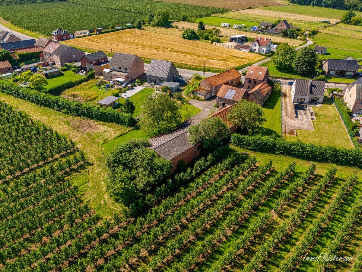 Ferme charmante r&#233;nov&#233;e d&#39;environ 29 ares &#224; Waanrode (Kortenaken). 