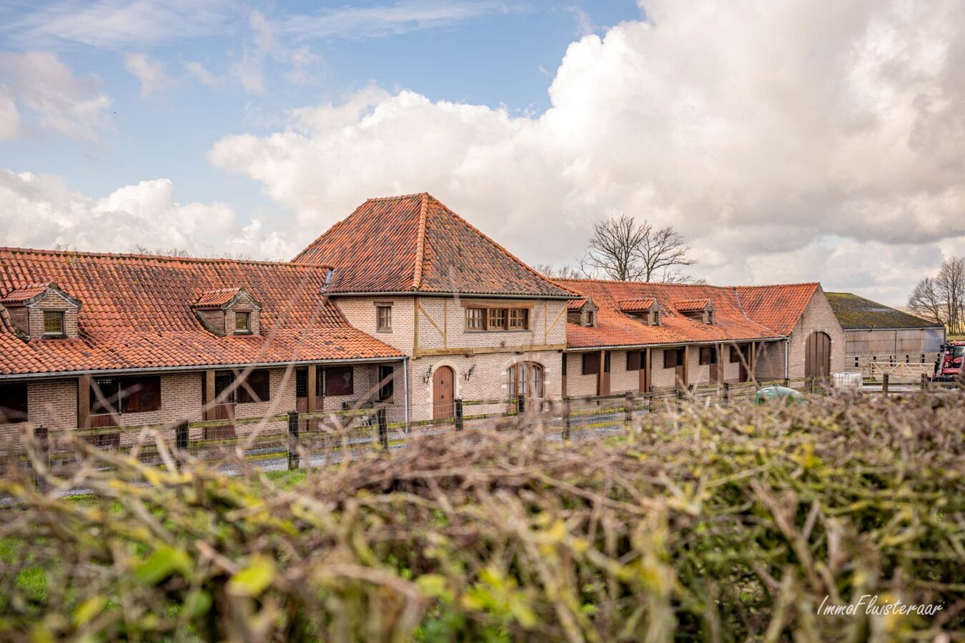 Prachtig paardencomplex met bedrijfswoning, ca. 33 stallen en binnenpiste op meer dan 5,6ha te Bever (Vlaams-Brabant) 