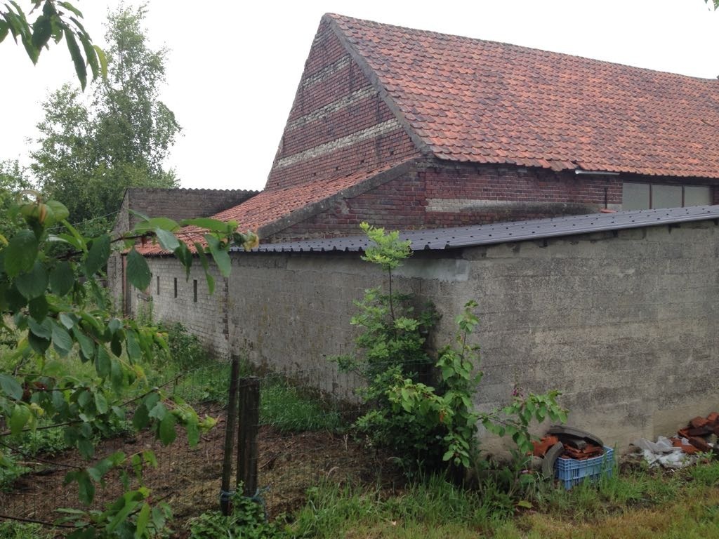 Ferme vendu À Meeuwen