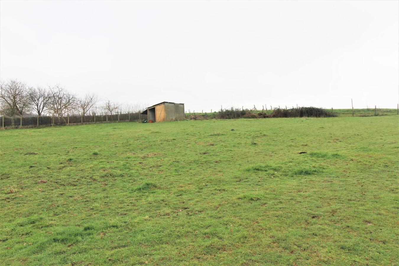 IN OPTIE - Woning met stalgebouw, buitenpiste en weilanden op ca. 1,8ha te Galmaarden (Vlaams-Brabant) 