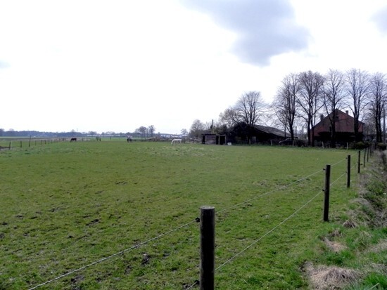 Hoeve met stallingen op 8.186 m&#178; te Wuustwezel 