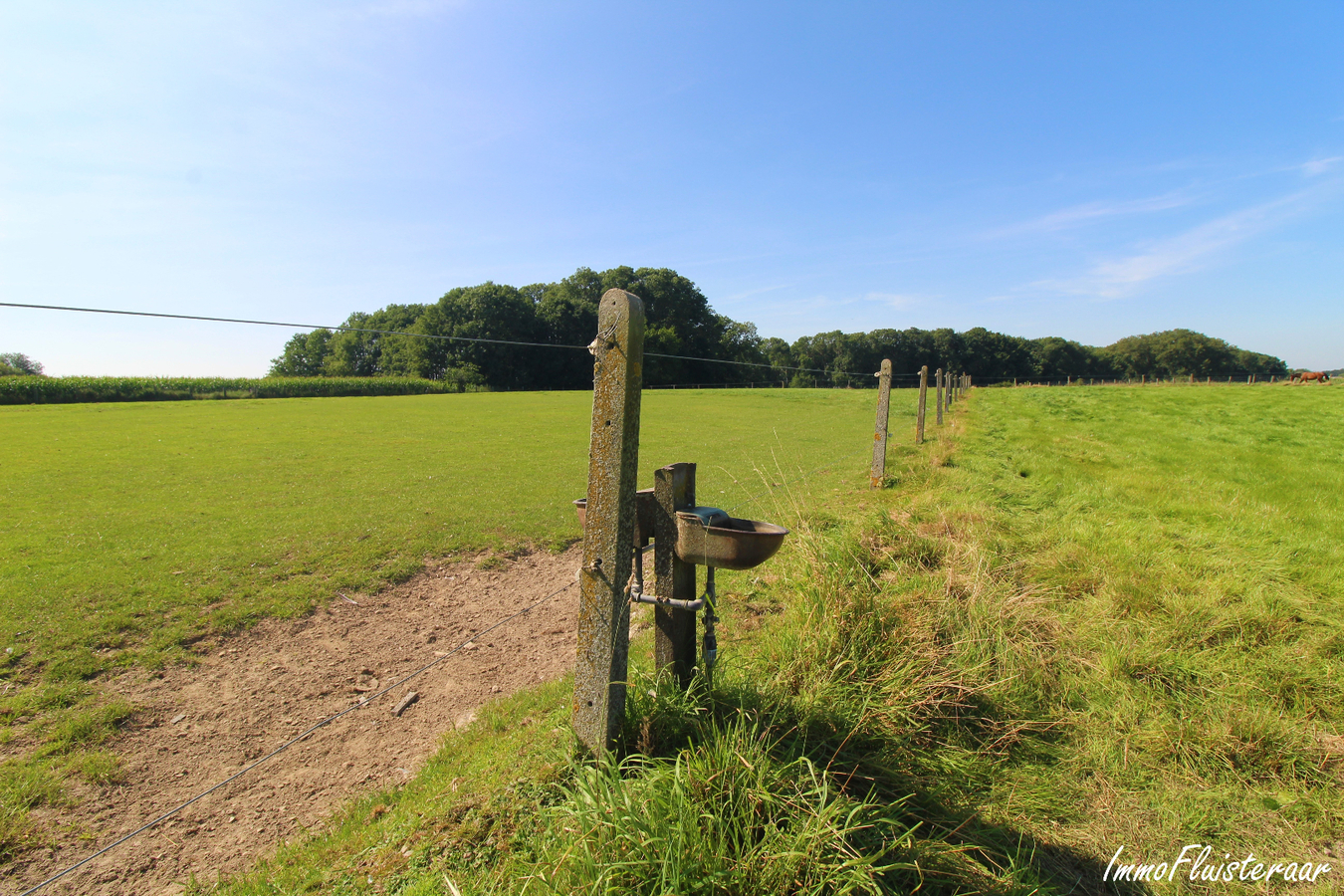 Pasture land sold in Galmaarden