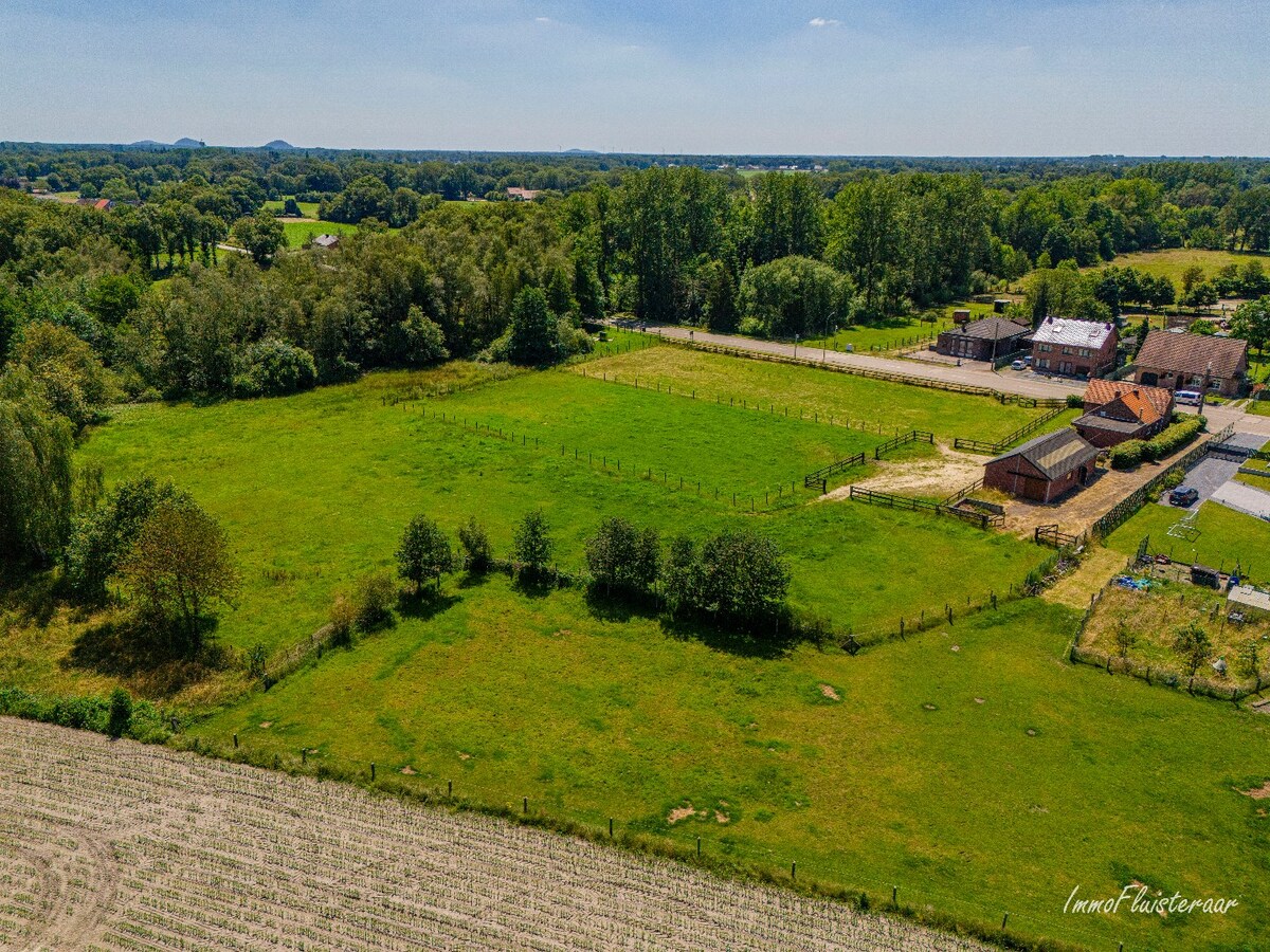 Charmante woning met paardenstallen op ca. 80 are te Peer 