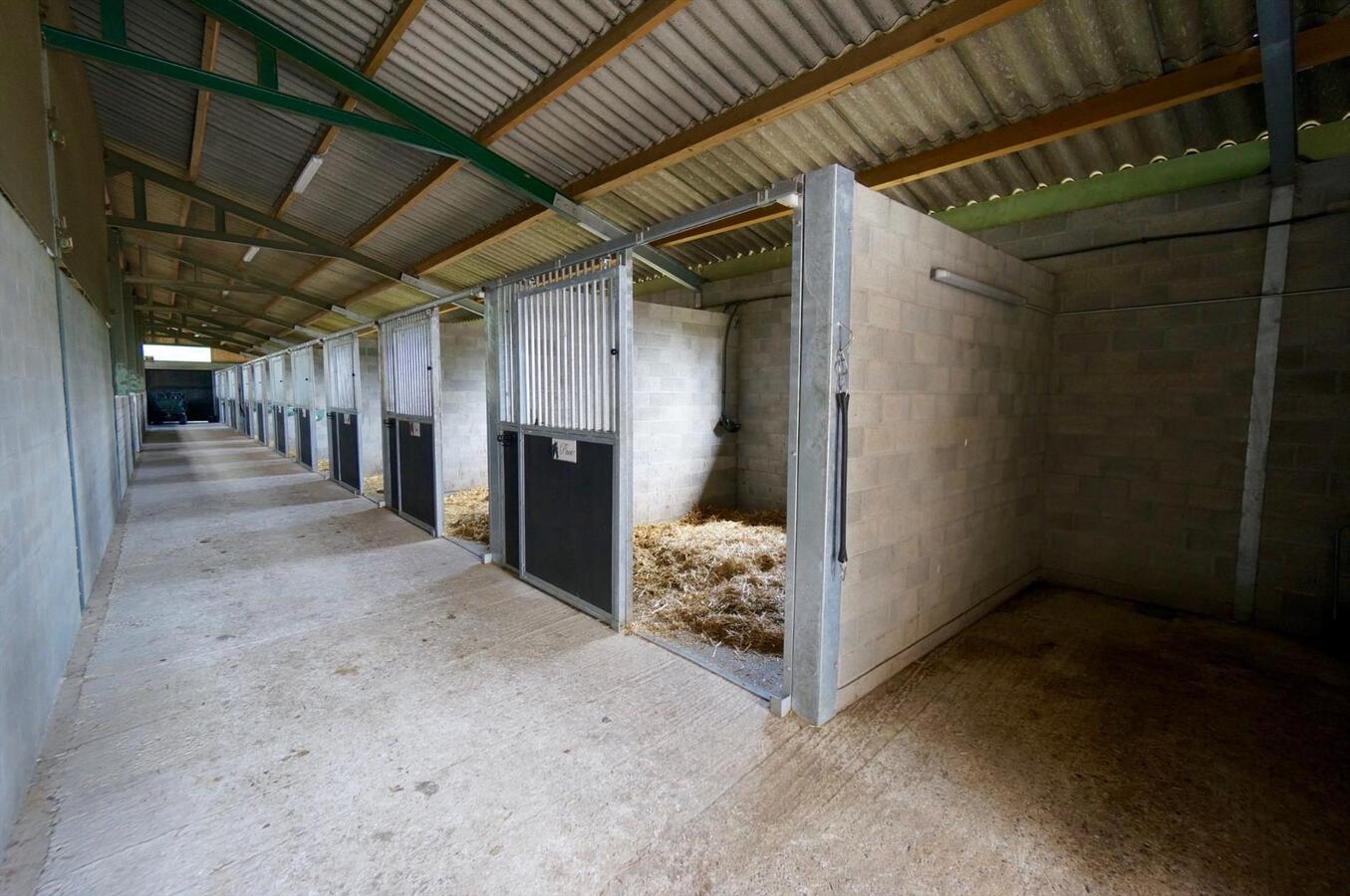 Gerenoveerde hoeve met paardenaccommodatie op ca. 3 ha te Balen 