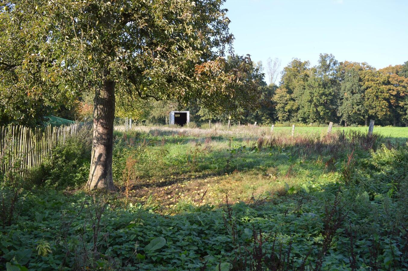 Hoeve met bijgebouwen op ca. 1,93ha te Lennik, Gaasbeek 