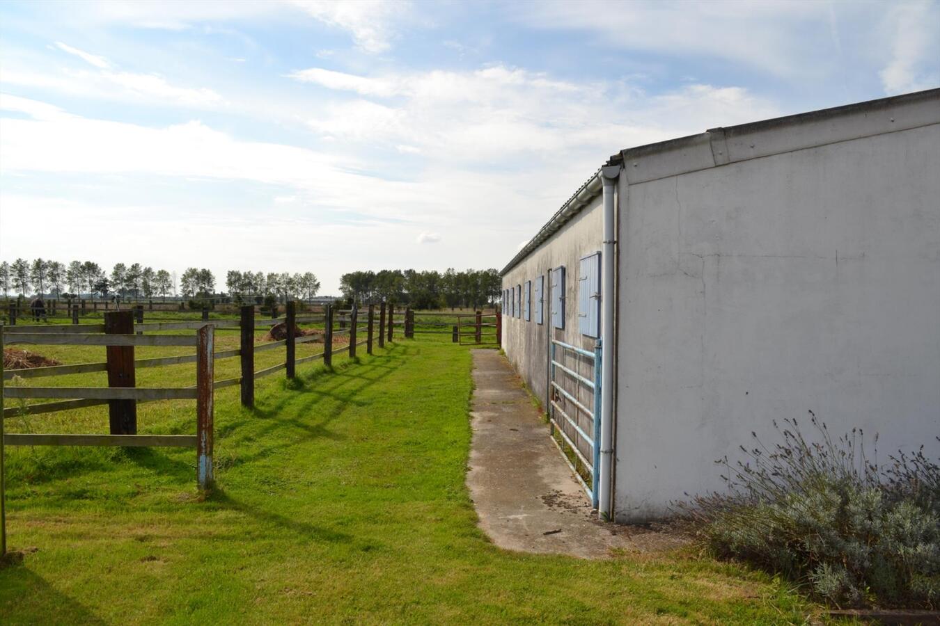 Farm sold in Alveringem