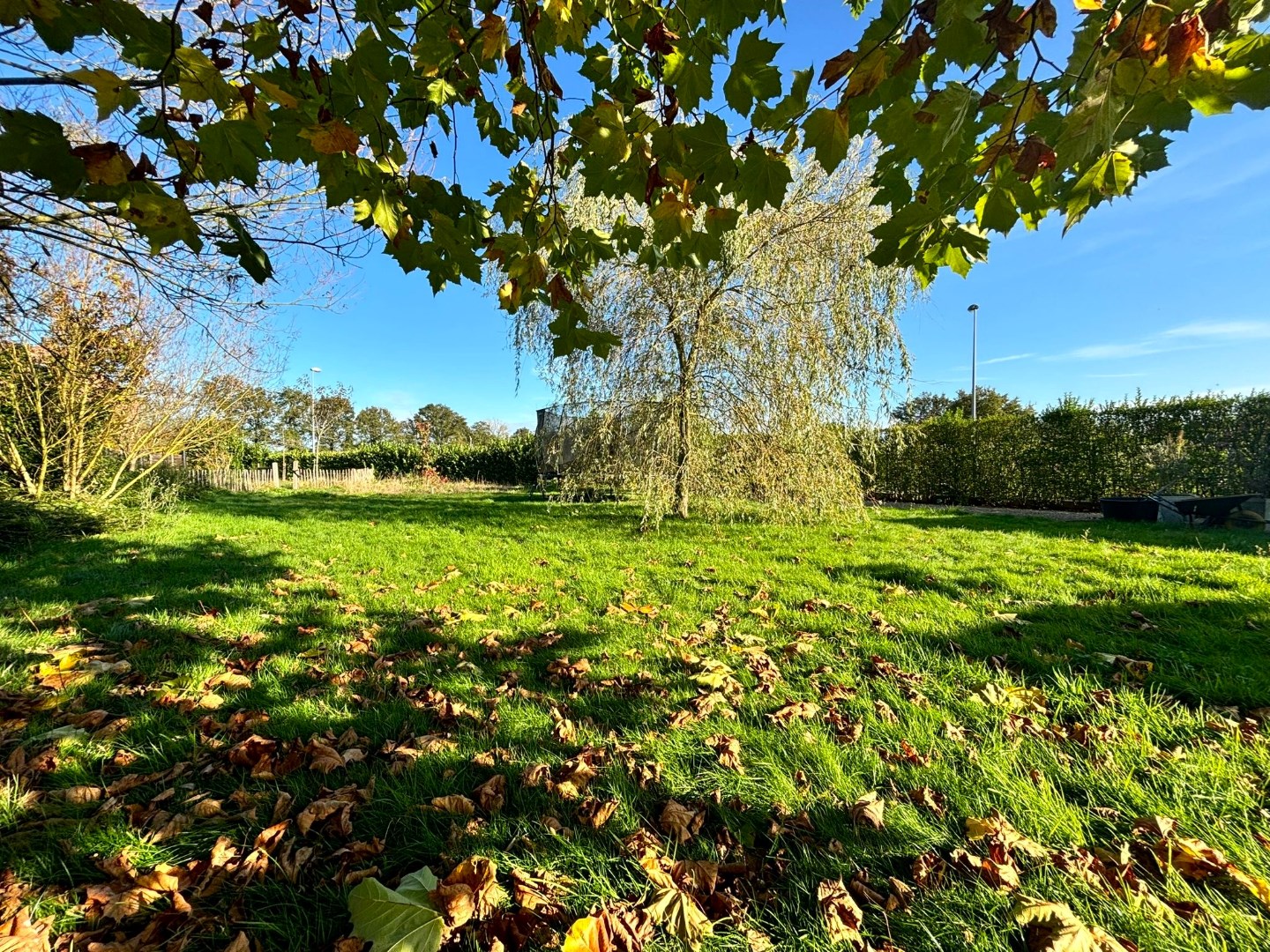 Exclusieve villa met praktijkruimte op perceel van 2001m&#178; in Balen-Olmen 