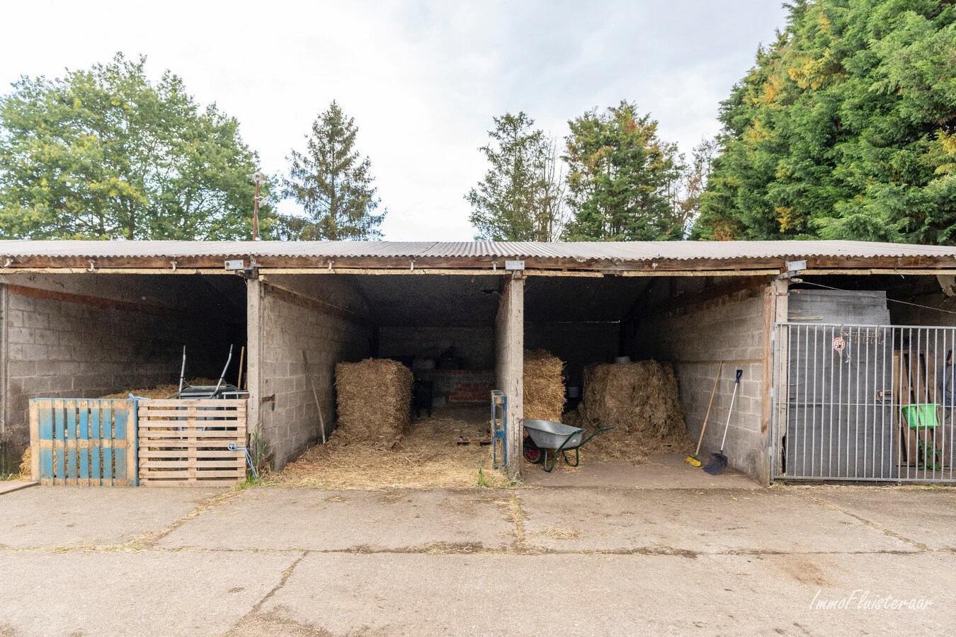 Paardenaccommodatie met 46 stallen, buitenpiste en hangaar op ca. 55 are te Linkhout (Lummen) 