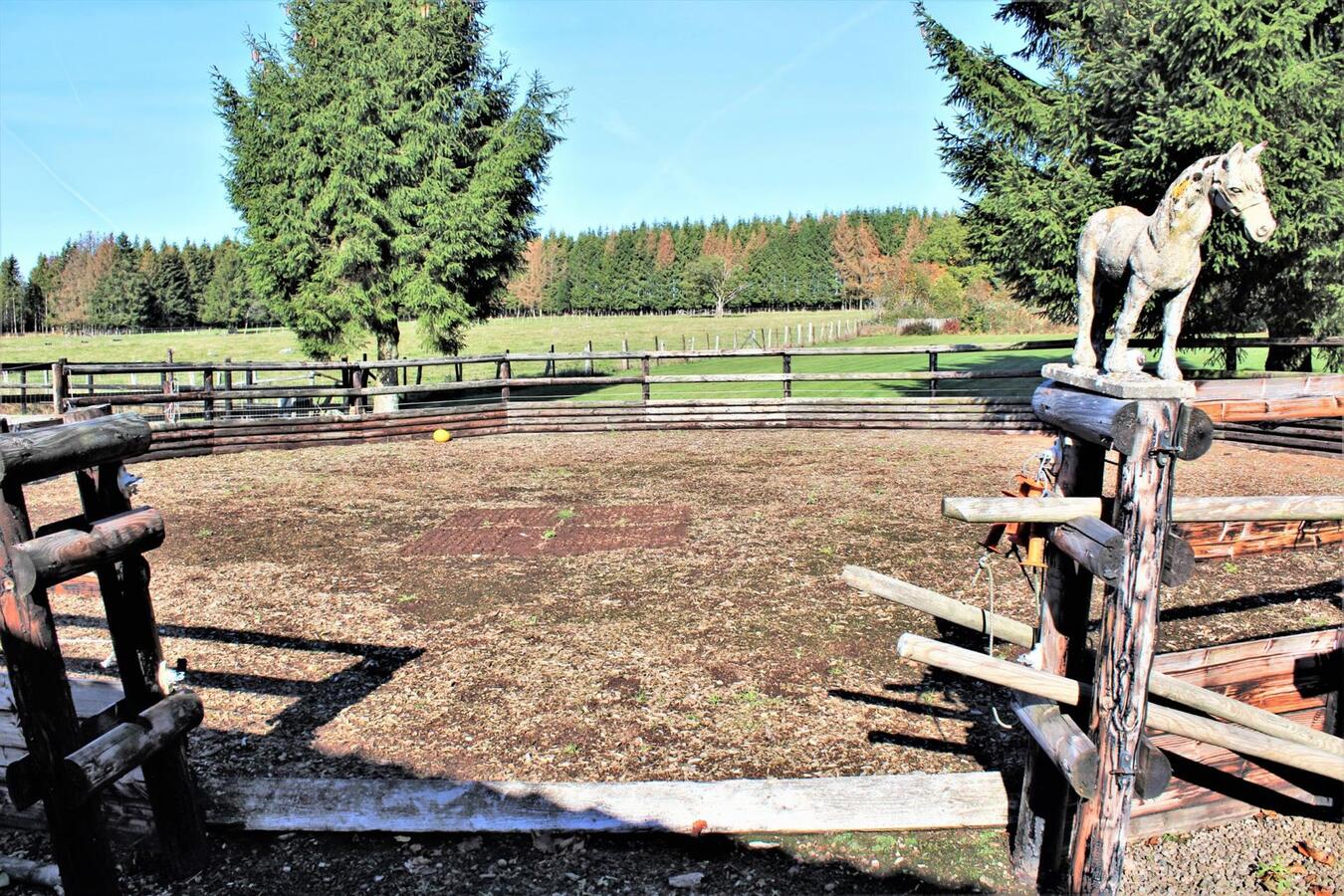 Villa avec boxes, piste ext&#233;rieure et p&#226;tures sur environ 1.9ha &#224; Malmedy (Li&#232;ge) 