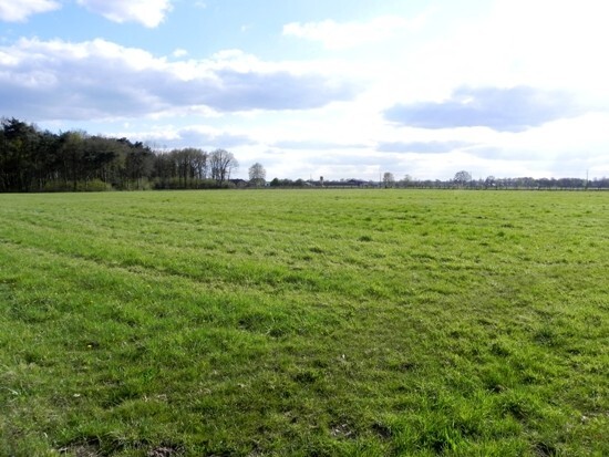 Woning met bijgebouwen en stallen op ca. 2,4 ha te Peer 