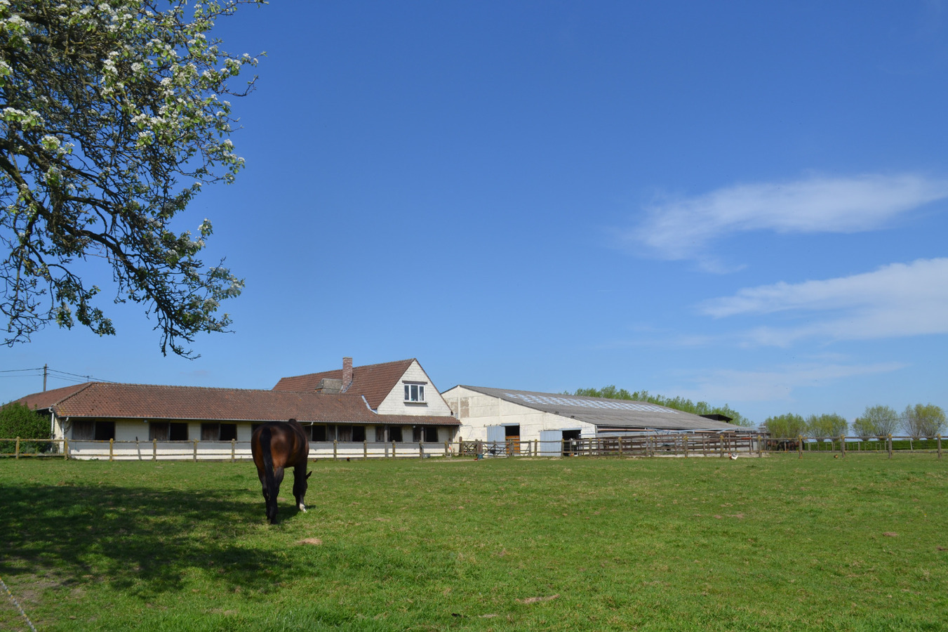 Hippisch complex te Huise (Zingem) op ca. 2Ha 