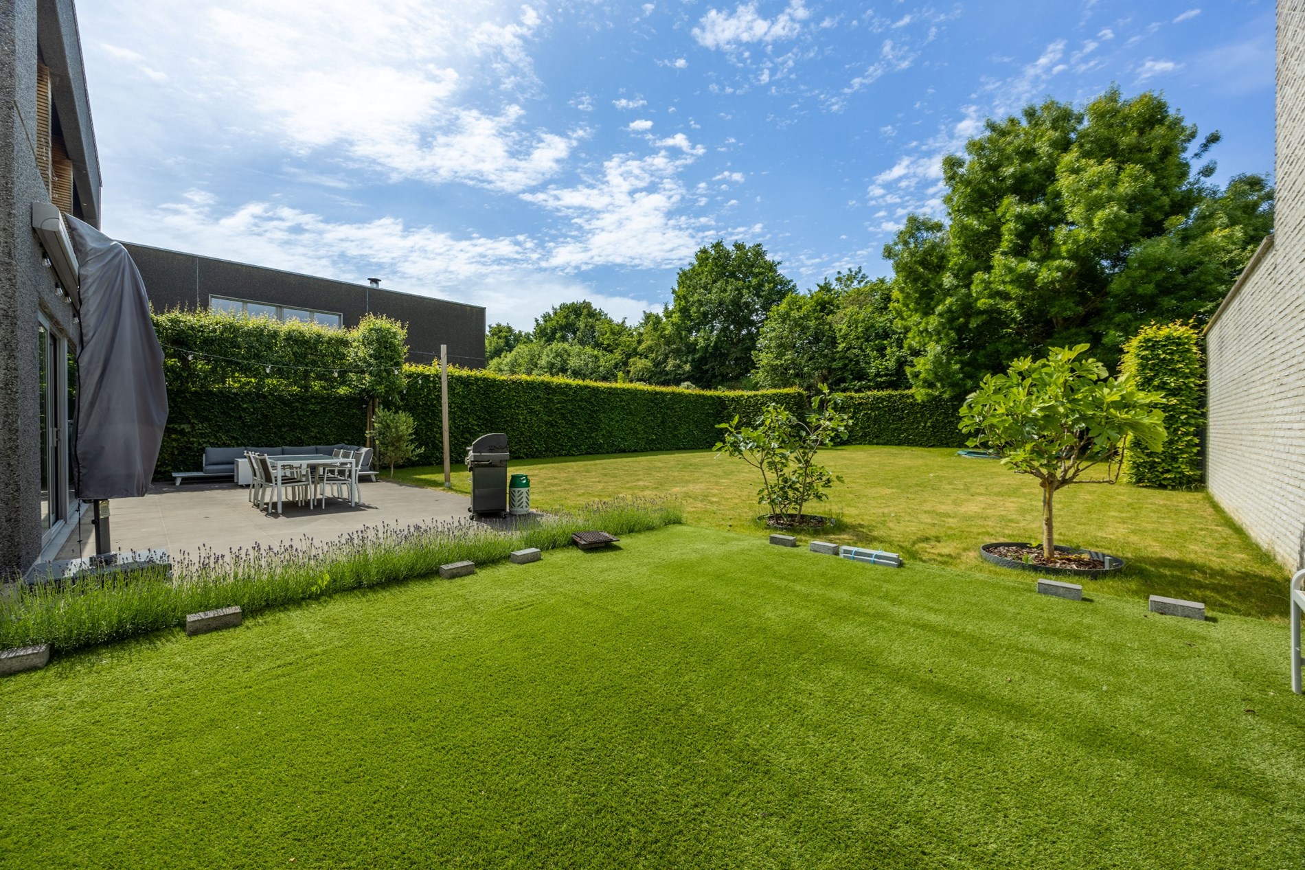 Tuin