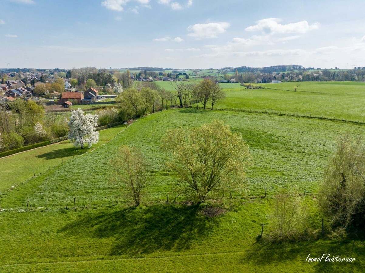 Renovatieproject pal in het groen op ca 56a te Tielt-Winge (Vlaams-Brabant) 