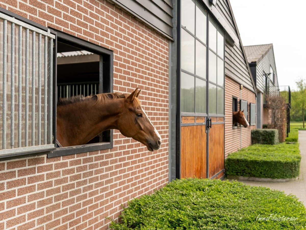 Beautiful equestrian accommodation on appr.  2.4 ha/5,94 acres in Meerle/Hoogstraten 