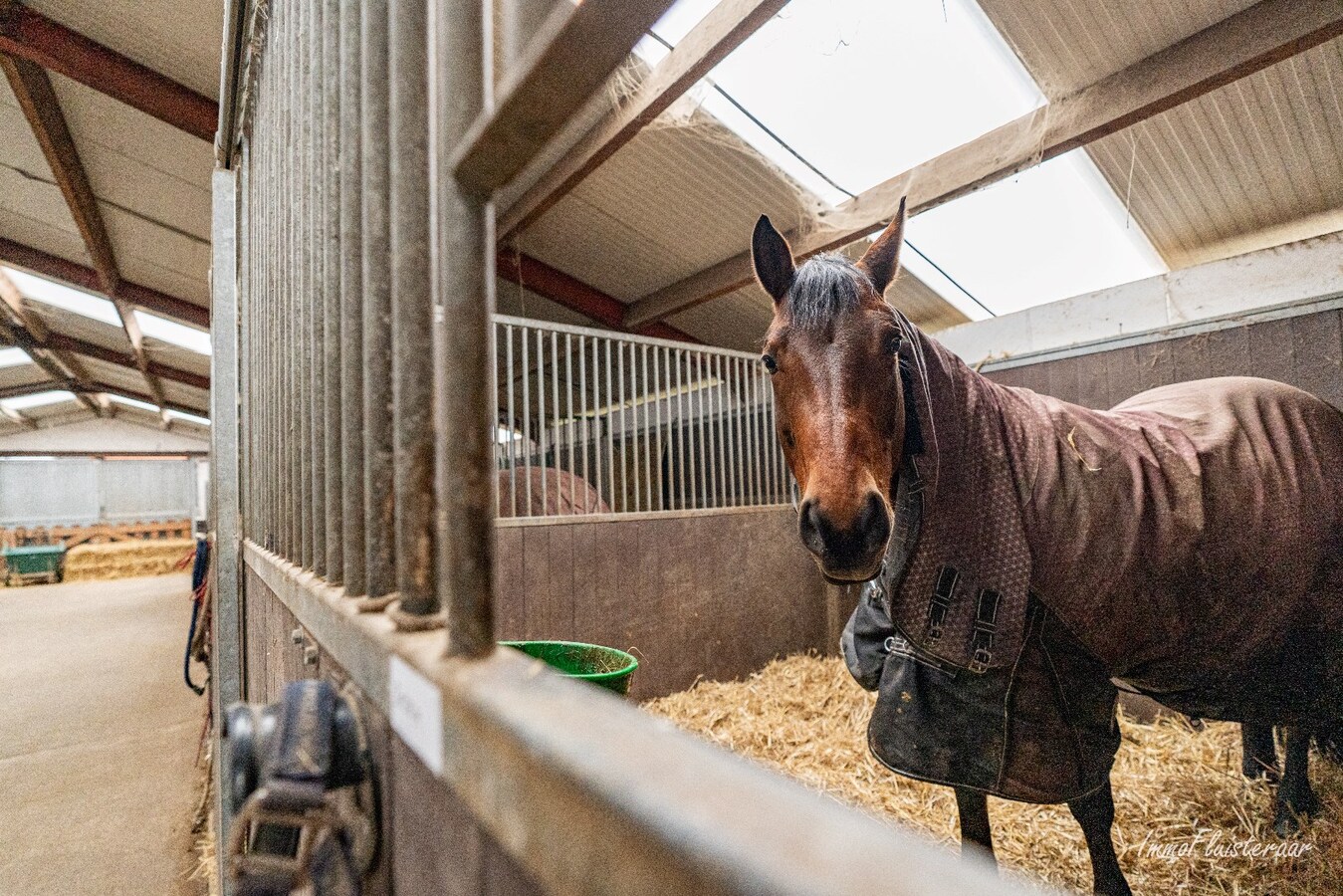 Hippisch complex op ca. 1,9 ha te Rijkevorsel Vergunning voor binnenpiste (60m x 30m) aanwezig! 