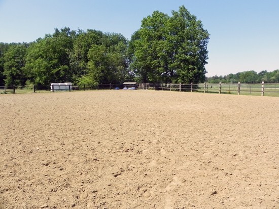 Recent hippisch complex op ca. 2,3 ha te Haacht 