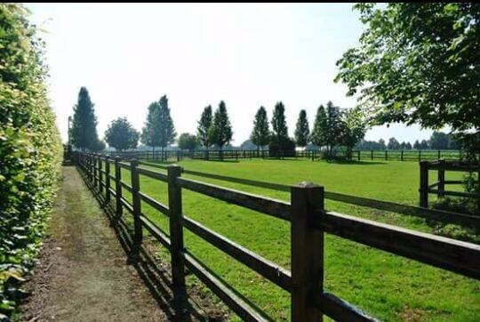 Land sold in Rijkevorsel