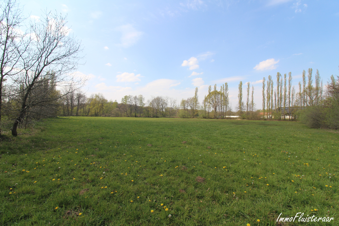 IN OPTIE - Te renoveren woning met stalgebouw/landgebouw en grond op ca. 4,20ha te Aarschot (Vlaams-Brabant) 