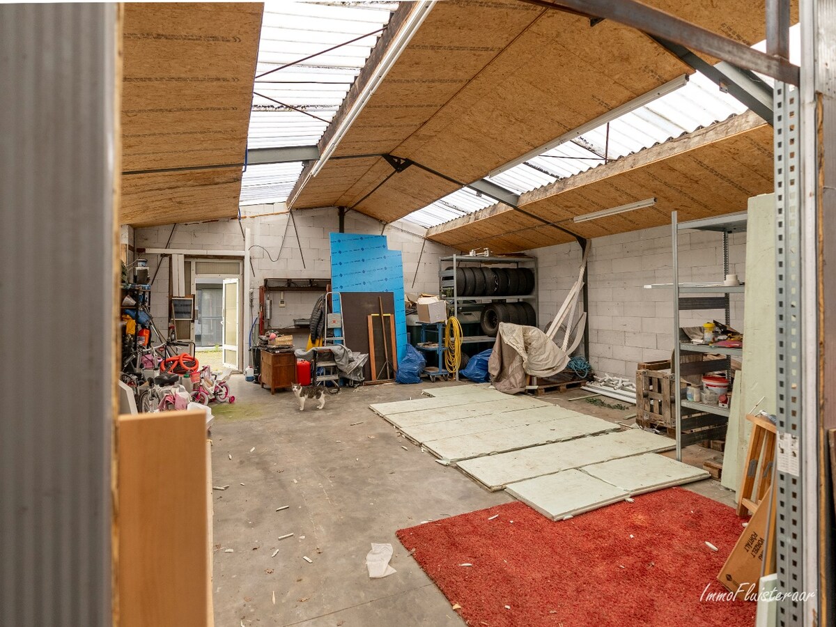 Ruime woning met stalgebouw en weide op ca. 1,1 ha te Wuustwezel 