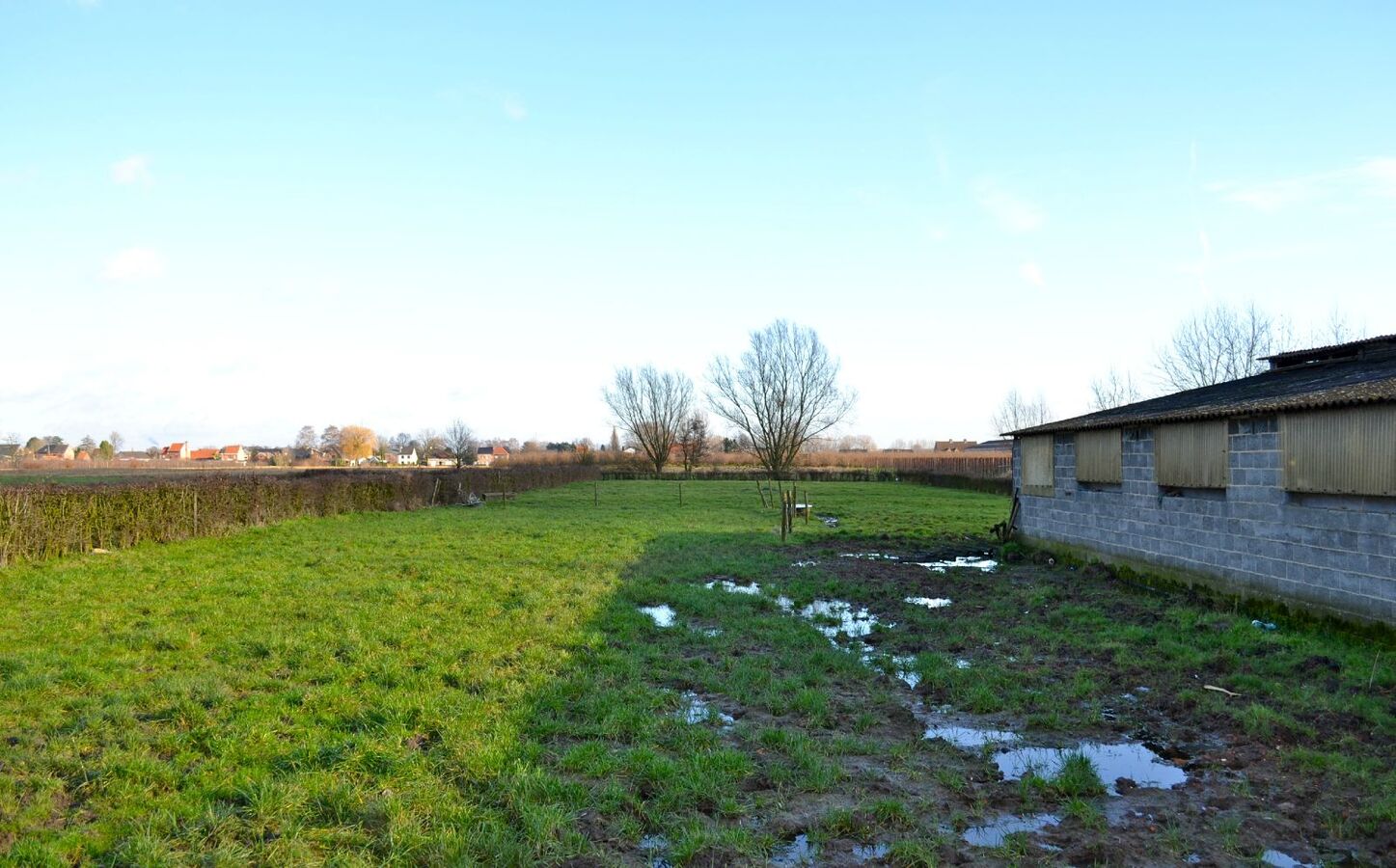 Te renoveren hoeve te St-Pauwels op 1,37Ha 