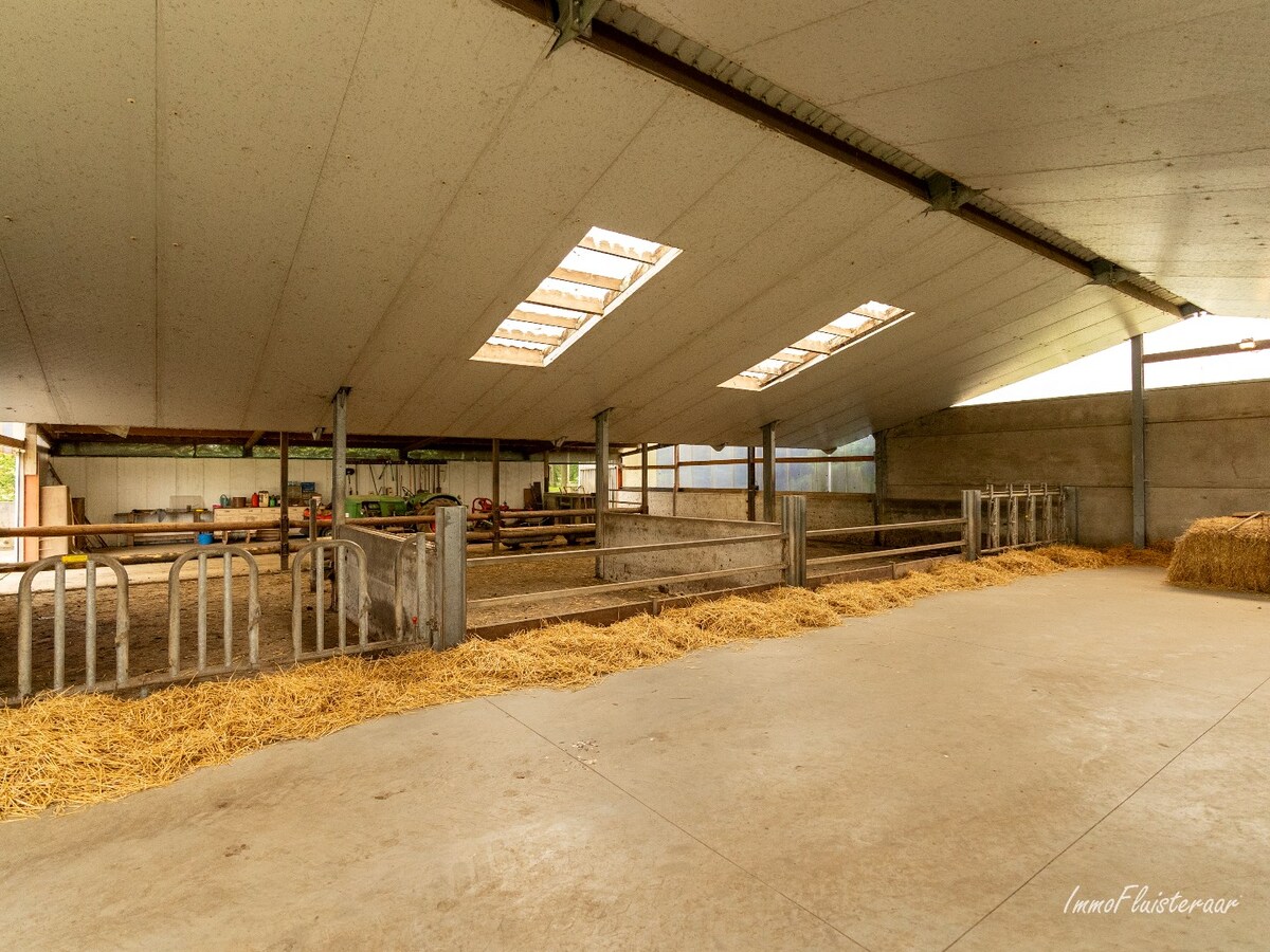 Maison spacieuse avec b&#226;timent d&#39;&#233;curie et prairies sur environ 3,8 hectares &#224; Berlaar. 