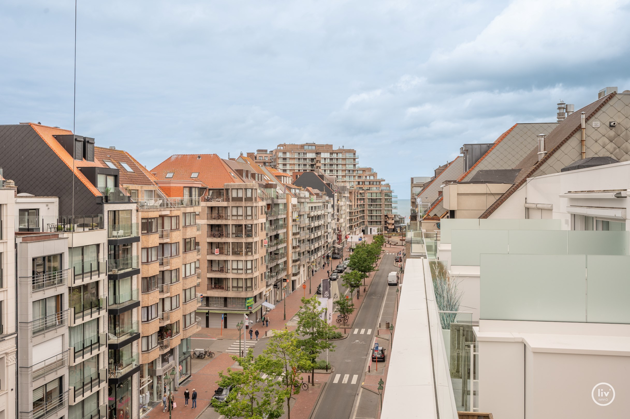 Instapklaar duplexappartement met 2 slaapkamers en grote terrassen (Zijdelings Zeezicht) gelegen op de Lippenslaan. 