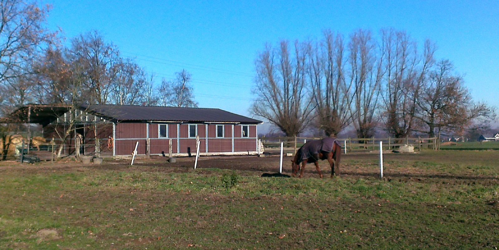 Weide met stalgebouw, buitenpiste en paddock op ca. 1,5ha te Kontich 