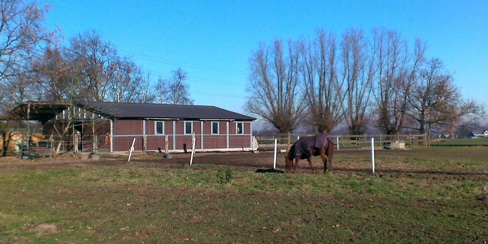 Weide met stalgebouw, buitenpiste en paddock op ca.1,5ha te Kontich 