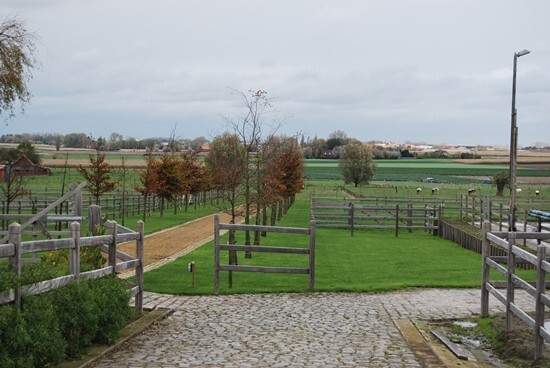 Instapklare eigendom met 12 stallen en 3 pistes op 3,1ha te Ardooie 