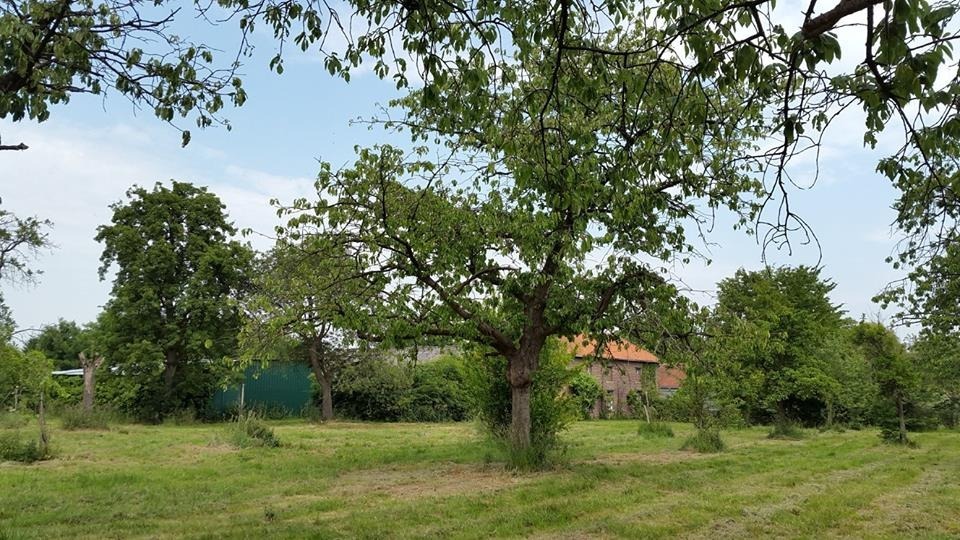 Ferme vendu À Alken