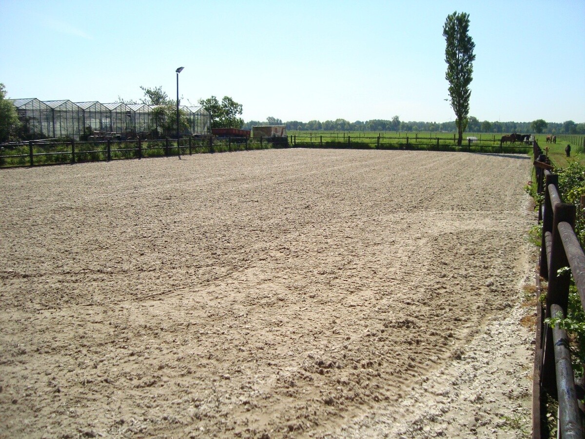 Hoeve met buitenpiste en paardenstallen op ca. 1 ha te Wuustwezel (Antw) 