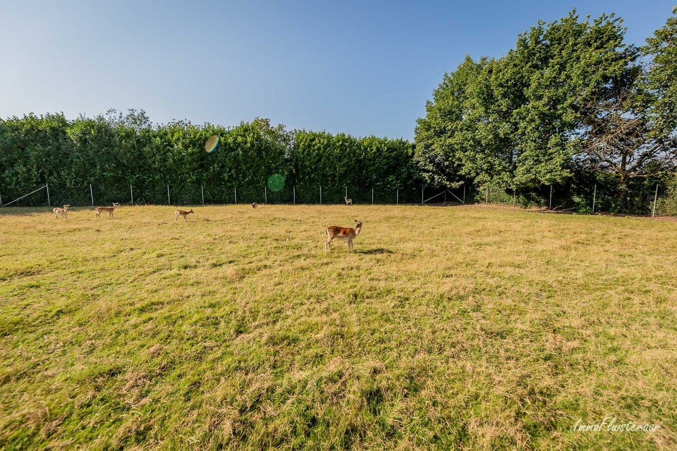 Belle maison (+/-340m&#178;) avec des b&#226;timents de ferme sur +/-2ha &#224; Opoeteren (extension possible jusqu&#39;&#224; +/-7,3ha!) 